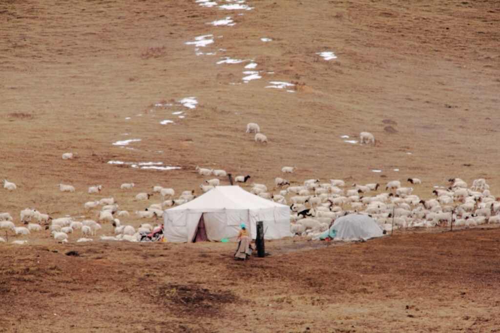 Nomad Settlement, Gansu