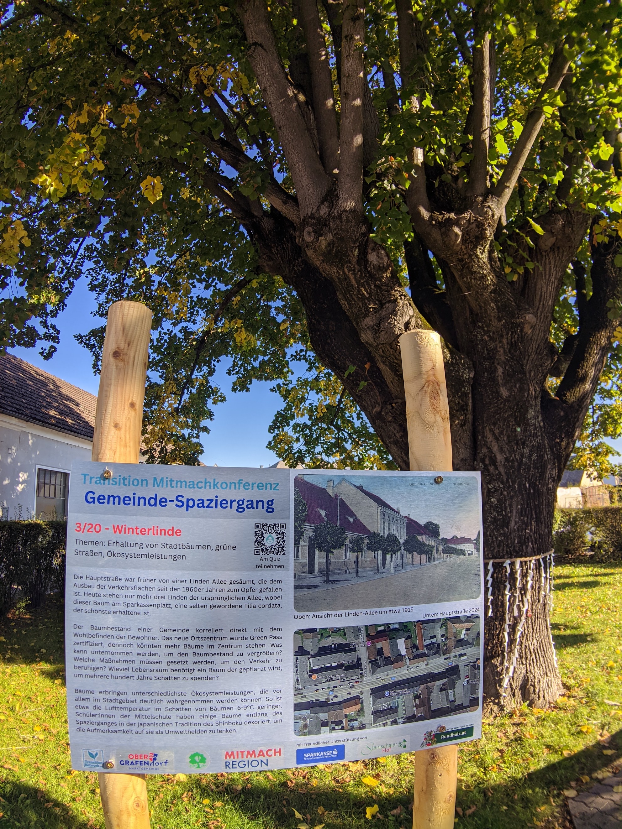 Infotafel 3/20 vor einer alten Winterlinde in Ober-Grafendorf