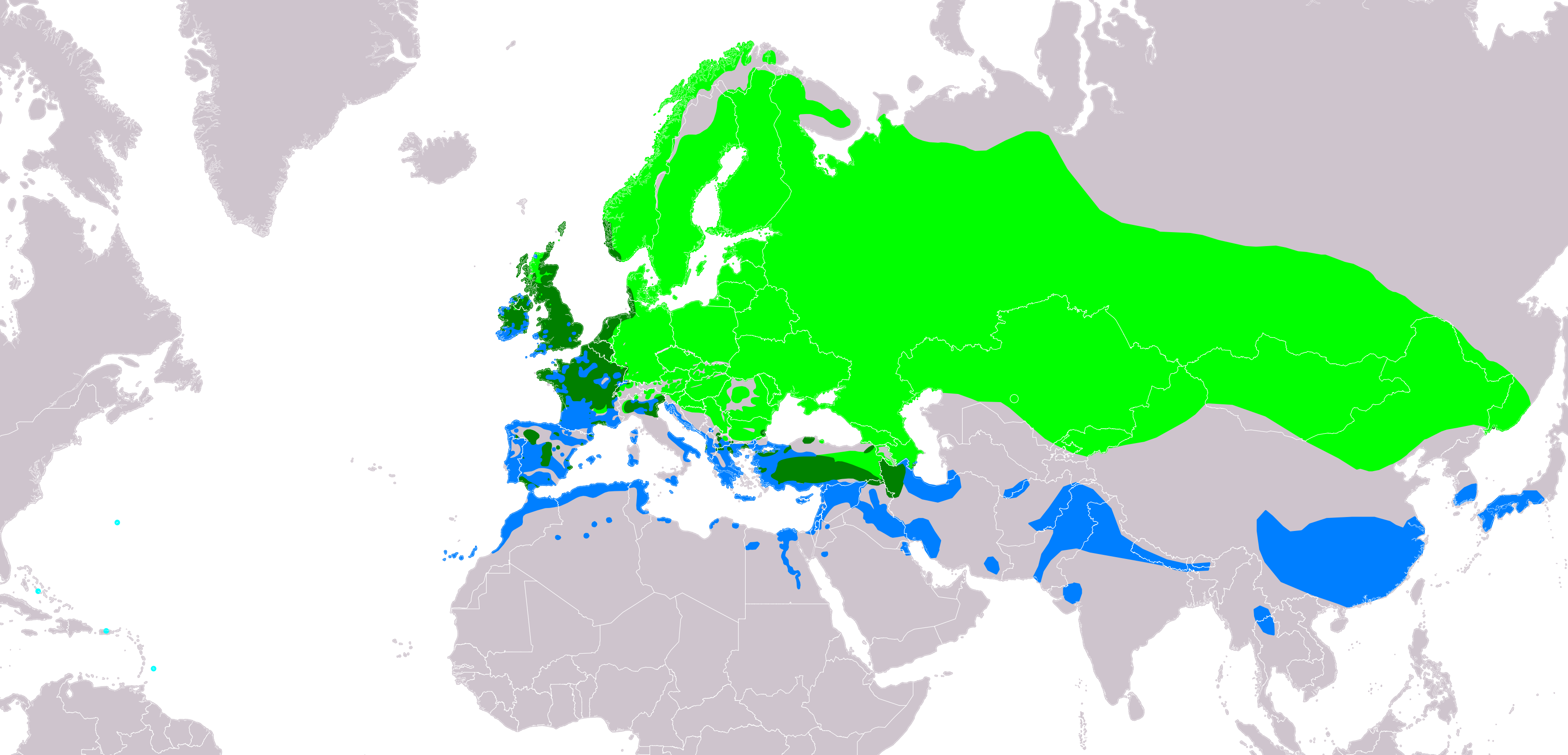 Distribution map of Northern Lapwing Vanellus vanellus according to IUCN version 2020.1 (Compiled by: BirdLife International and Handbook of the Birds of the World (2016) 2006.); key: Legend: Extant, breeding (#00FF00), Extant, resident (#008000), Extant, passage (#00FFFF), Extant, non-breeding (#007FFF)